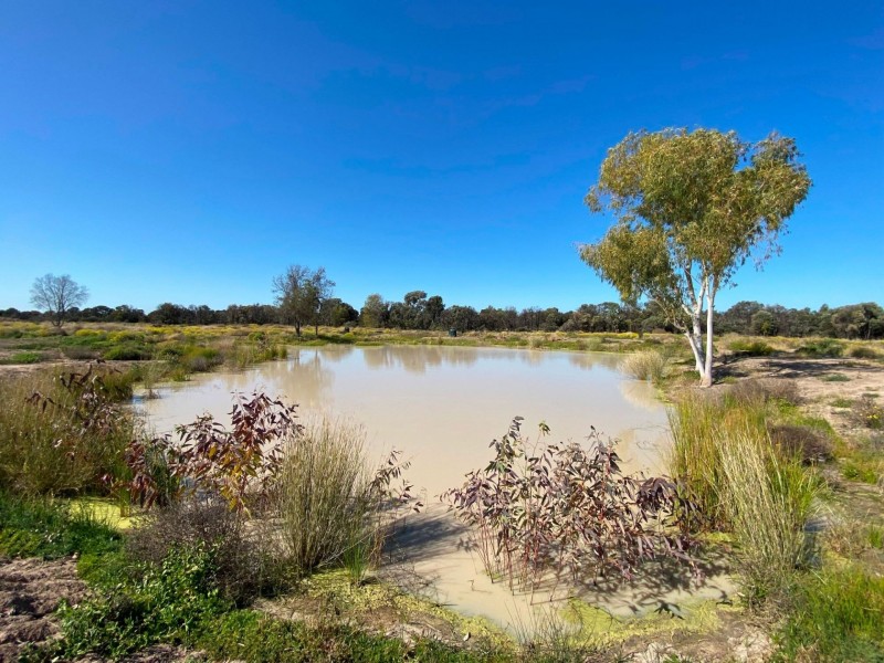 1988 Tullagrie Road, Tara QLD 4421