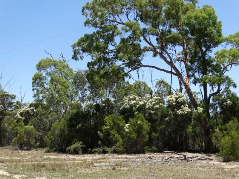 Lot 15 Mary Road, Wieambilla QLD 4413