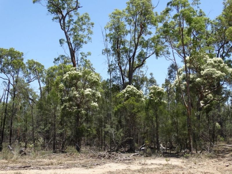 Lot 15 Mary Road, Wieambilla QLD 4413