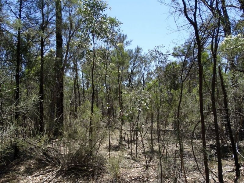 Lot 15 Mary Road, Wieambilla QLD 4413