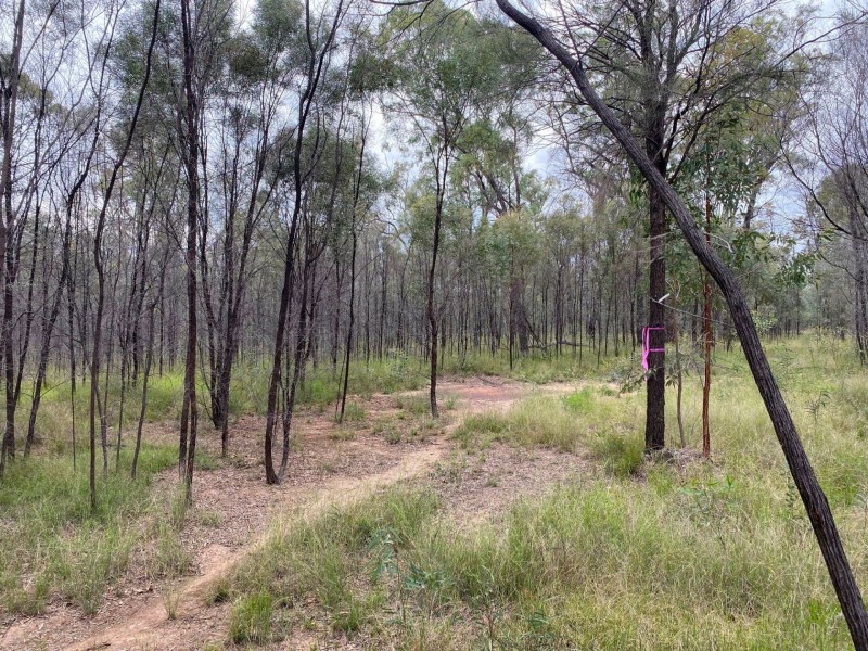 Lot 43 Veronica Road, Tara QLD 4421
