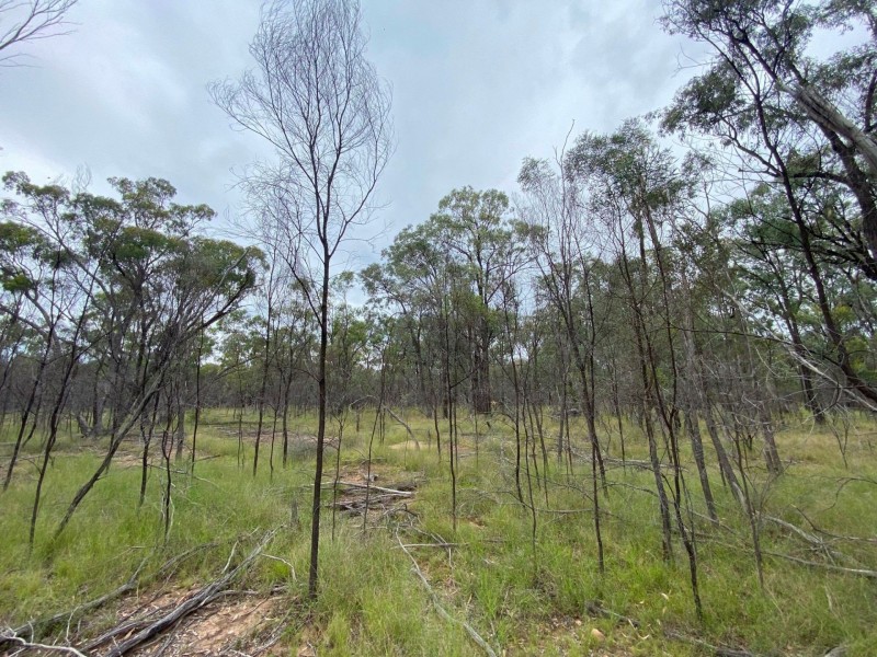 Lot 25 Vickery Road, Goranba QLD 4421