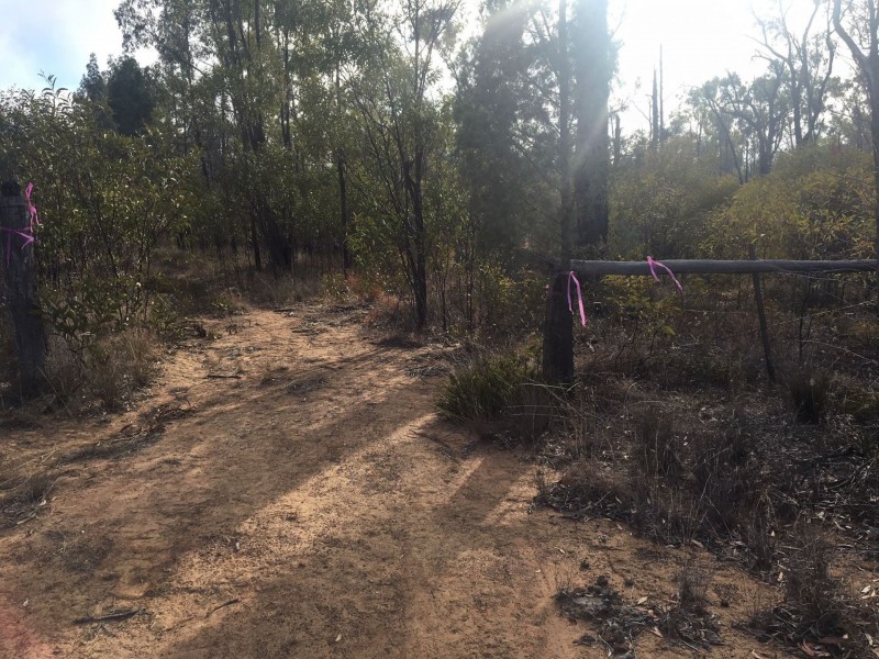 Lot 3 Boort Koi Road, Chinchilla QLD 4413