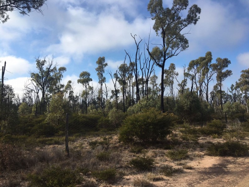 Lot 3 Boort Koi Road, Chinchilla QLD 4413