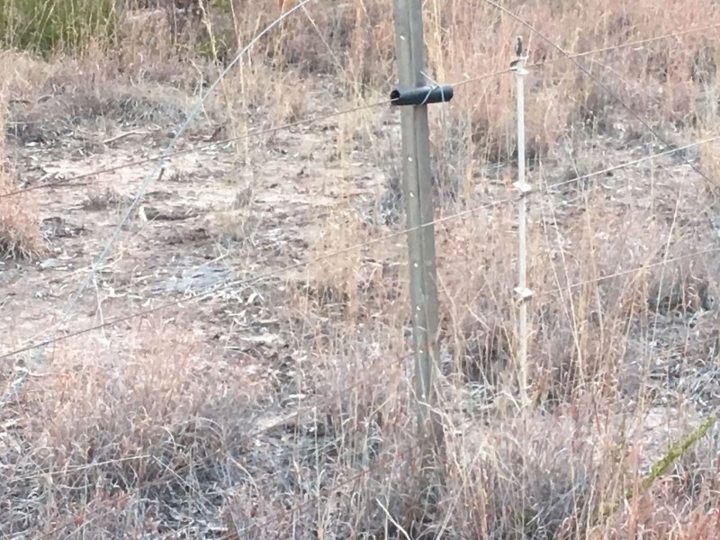 Lot 3 Boort Koi Road, Chinchilla QLD 4413