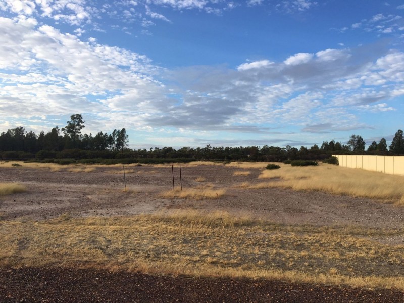 12 Sweetapple Drive, Miles QLD 4415