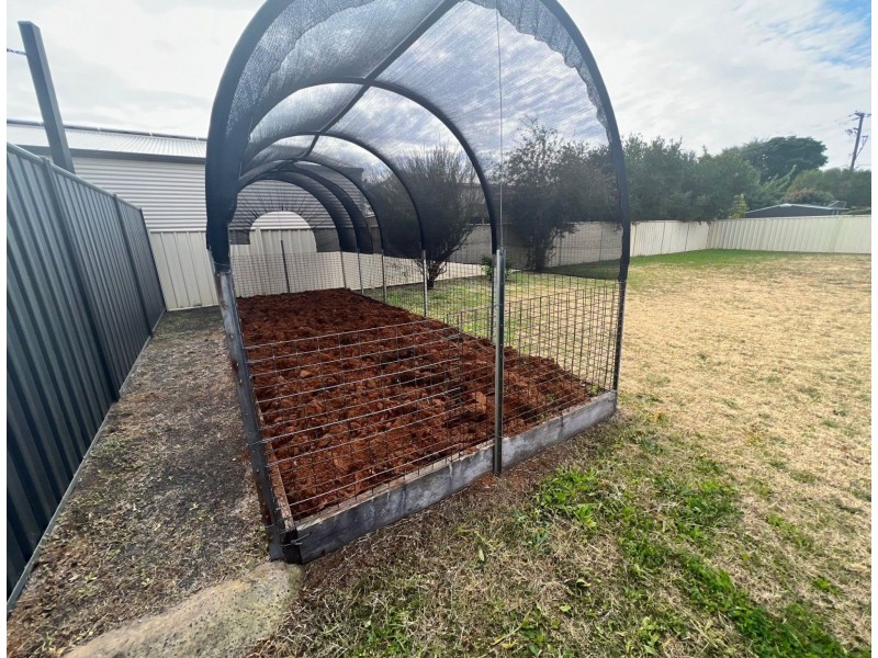 56 Beasley Street, Chinchilla QLD 4413