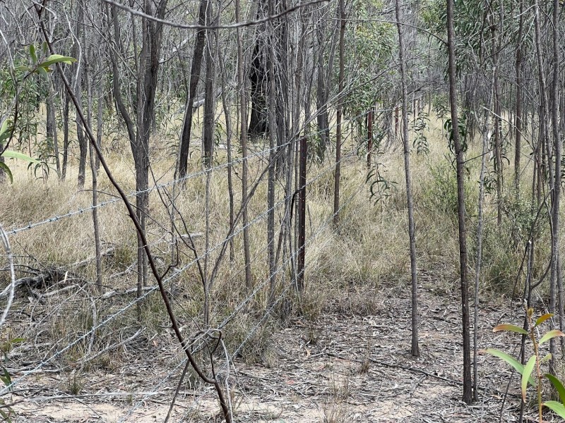 989 Boort Koi Road, Miles QLD 4415