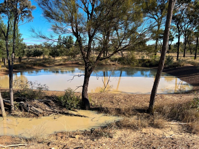 97 Golden Glow Road, Tara QLD 4421