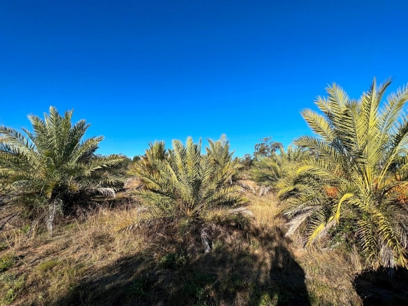 97 Golden Glow Road, Tara QLD 4421