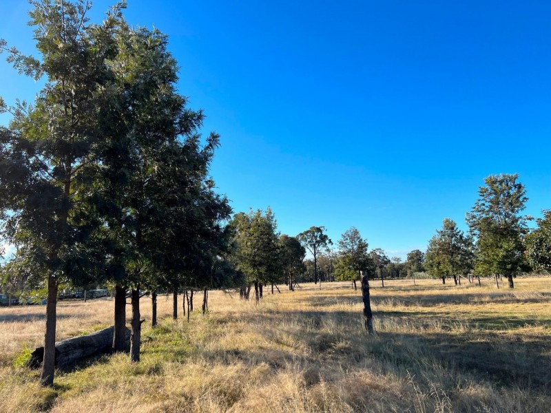 97 Golden Glow Road, Tara QLD 4421