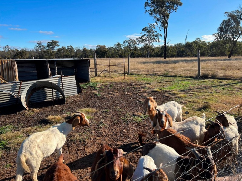 97 Golden Glow Road, Tara QLD 4421