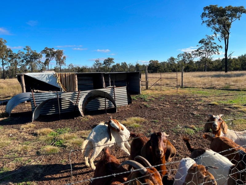 97 Golden Glow Road, Tara QLD 4421