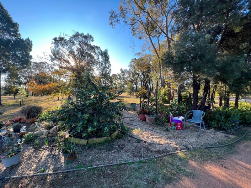 75 Golden Glow Road, Tara QLD 4421