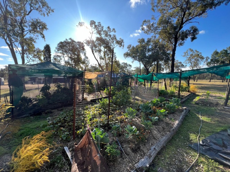 75 Golden Glow Road, Tara QLD 4421