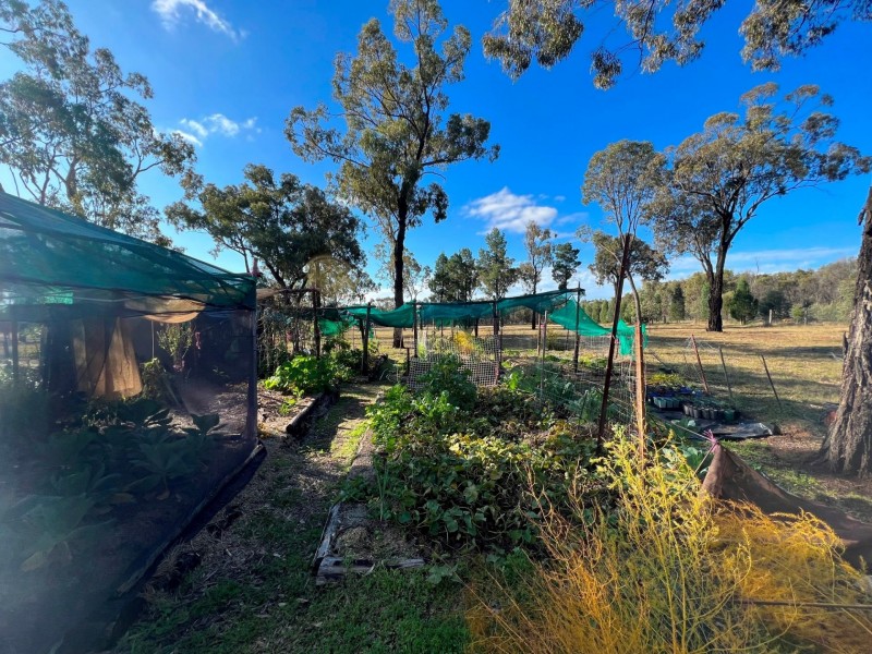 75 Golden Glow Road, Tara QLD 4421