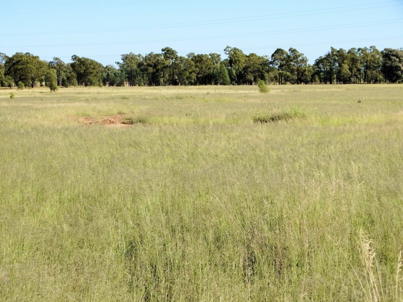 267 ACRES – Warrego Highway, Chinchilla QLD 4413