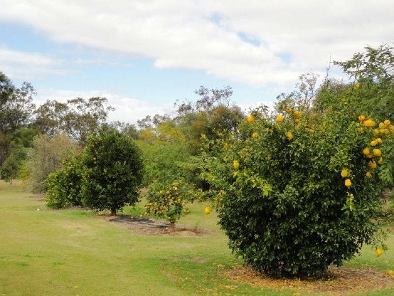 107 Cemetery Road, Chinchilla QLD 4413