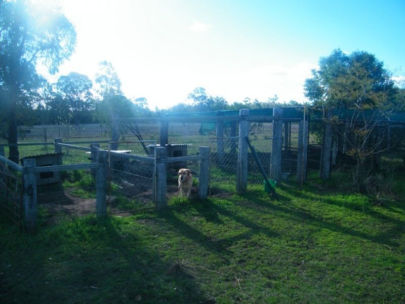 45 Crystal Creek Road, Kogan QLD 4406