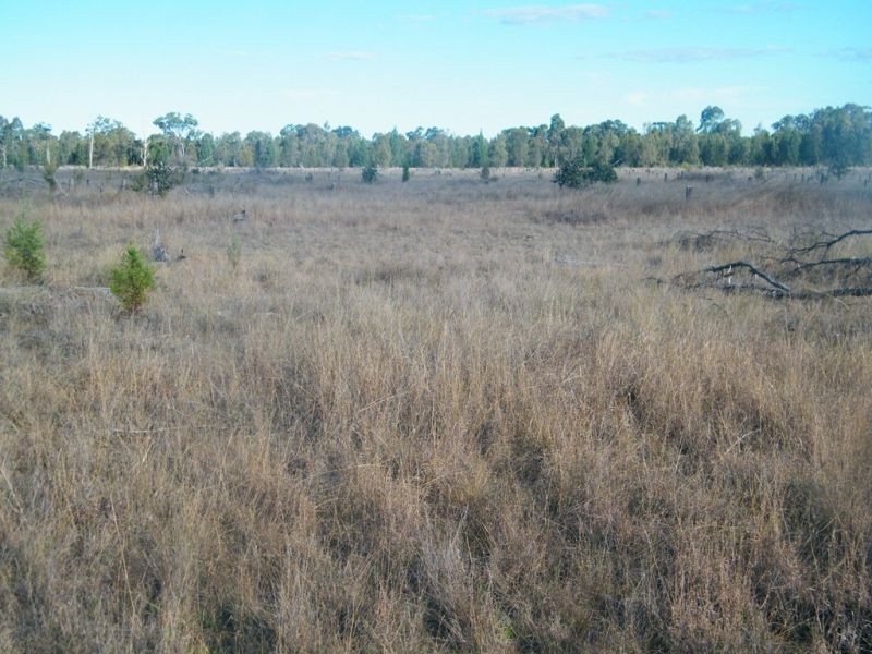 45 Crystal Creek Road, Kogan QLD 4406