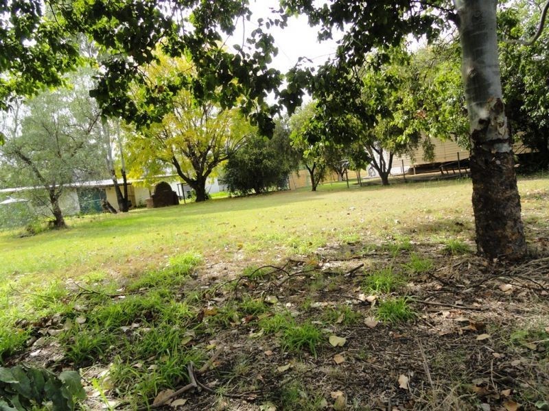 31 Davis Street, Chinchilla QLD 4413