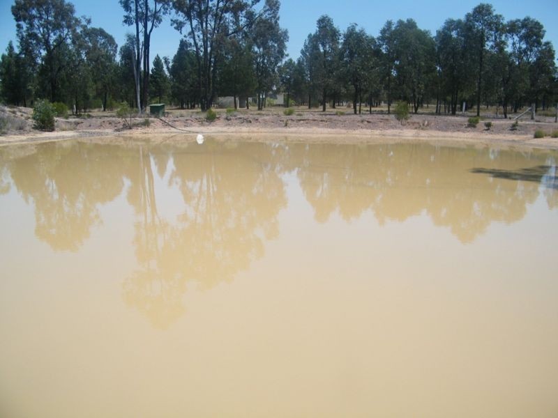 877 Males Drive, Tara QLD 4421