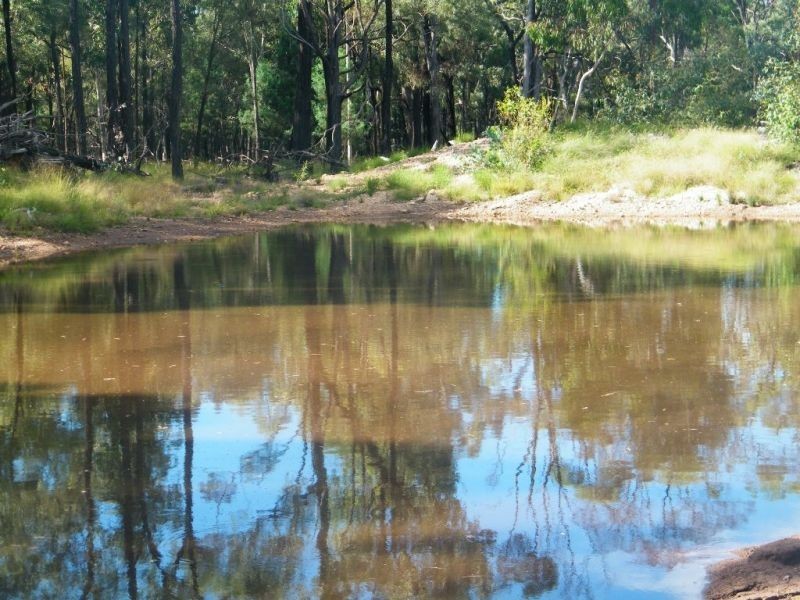 658 Mount Myrtle Road, Kowguran QLD 4415