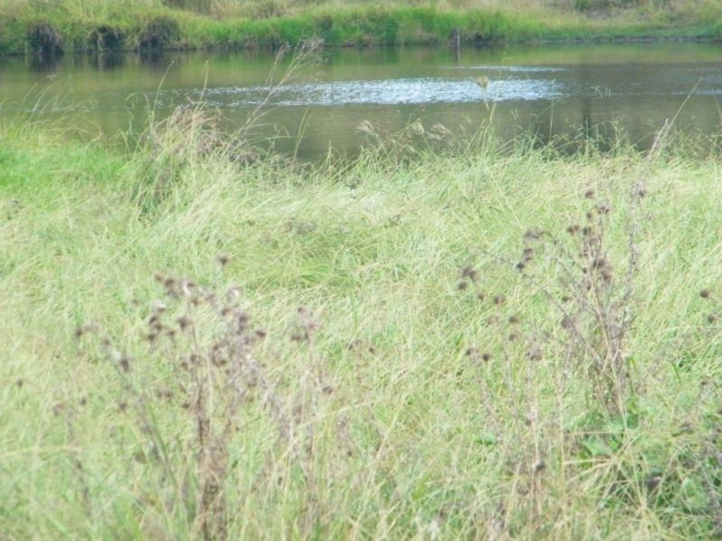 658 Mount Myrtle Road, Kowguran QLD 4415