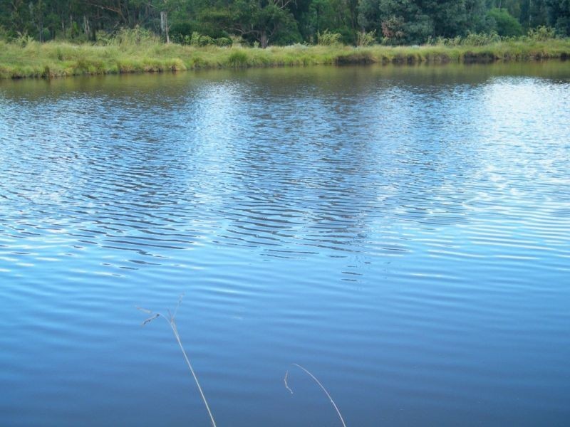 658 Mount Myrtle Road, Kowguran QLD 4415