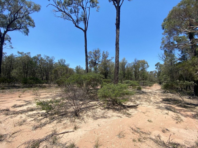 6 Treasures Road, Wieambilla QLD 4413