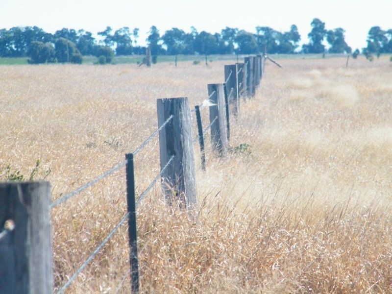 Taemarie, Yulabilla Road, Condamine QLD 4416