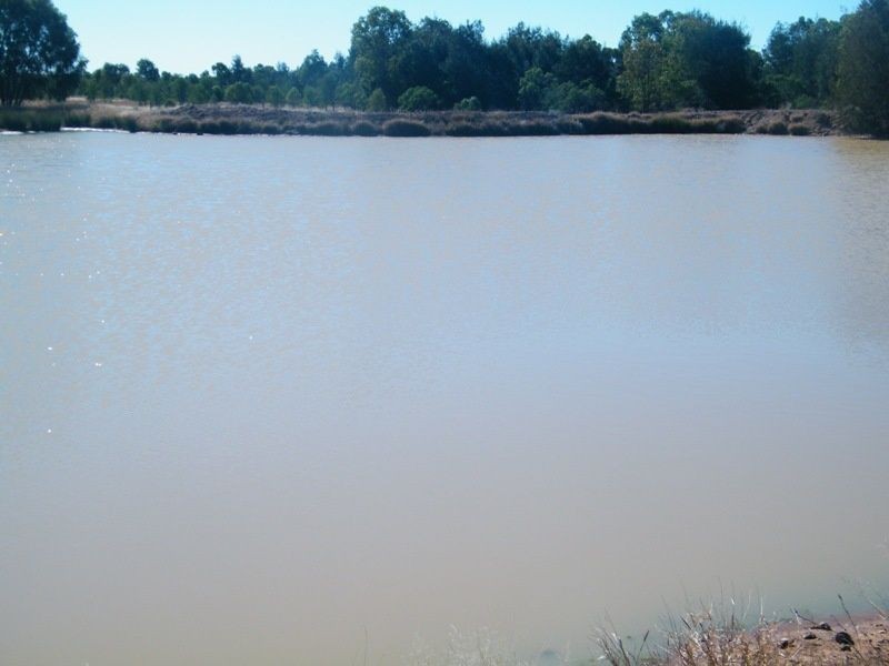 Taemarie, Yulabilla Road, Condamine QLD 4416