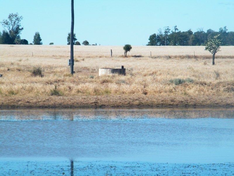 Taemarie, Yulabilla Road, Condamine QLD 4416