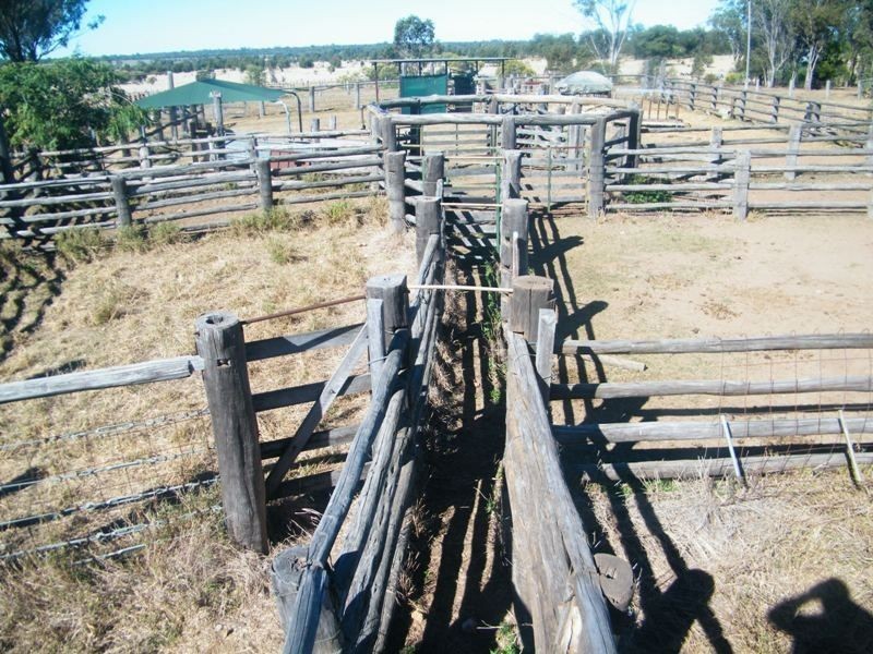 Taemarie, Yulabilla Road, Condamine QLD 4416