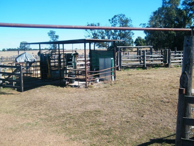 Taemarie, Yulabilla Road, Condamine QLD 4416