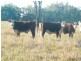 Lot 22 Racecourse Road, Chinchilla QLD 4413