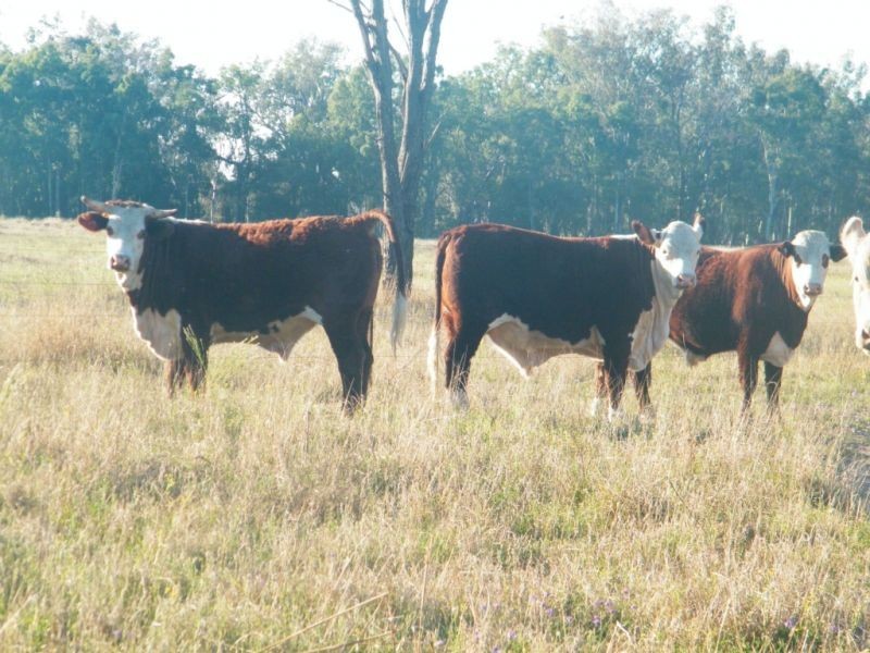 Lot 22 Racecourse Road, Chinchilla QLD 4413