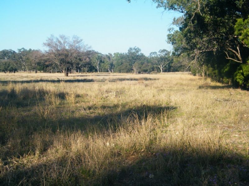 Lot 22 Racecourse Road, Chinchilla QLD 4413