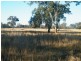 Lot 22 Racecourse Road, Chinchilla QLD 4413