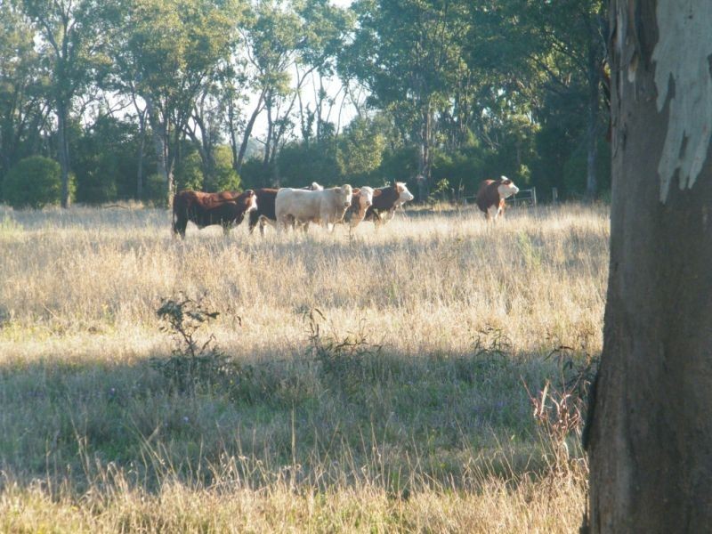 Lot 22 Racecourse Road, Chinchilla QLD 4413