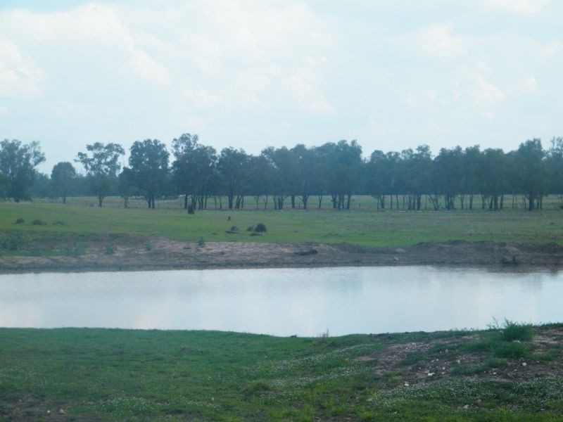 706 Healeys Road – Campbells Camp, Brigalow QLD 4412