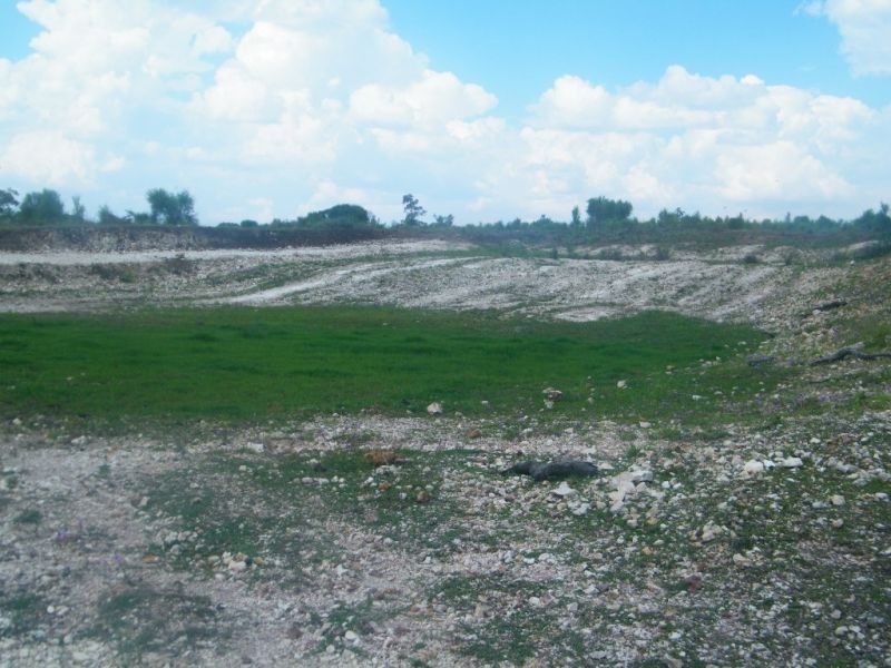 706 Healeys Road – Campbells Camp, Brigalow QLD 4412