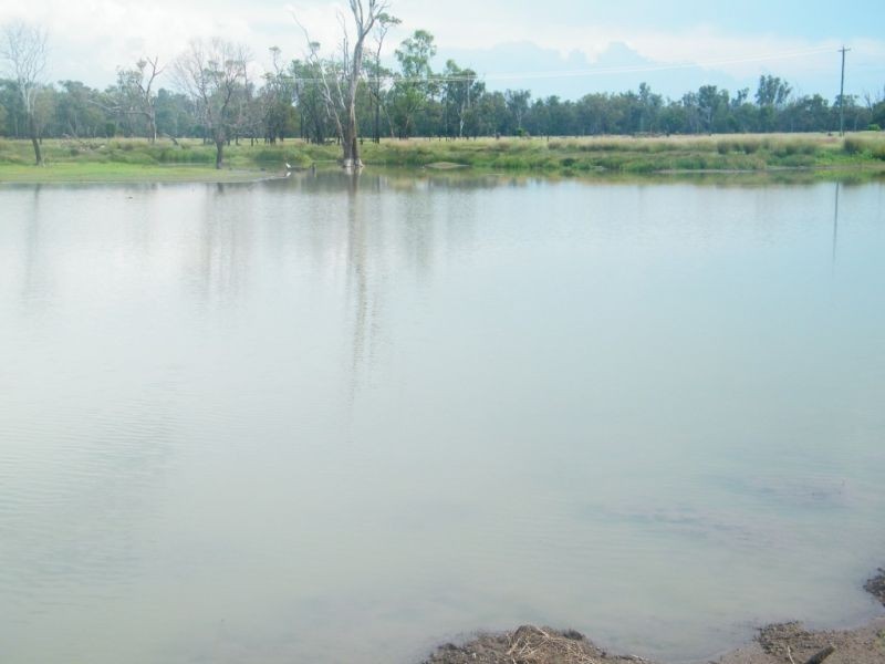 706 Healeys Road – Campbells Camp, Brigalow QLD 4412