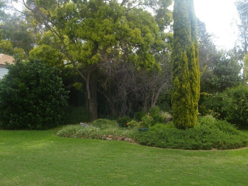 706 Healeys Road – Campbells Camp, Brigalow QLD 4412