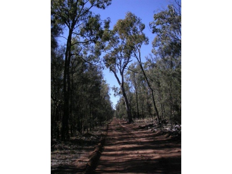 Lot 161 Rocky Crescent, Weranga QLD 4405