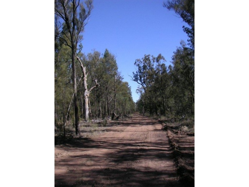 Lot 161 Rocky Crescent, Weranga QLD 4405