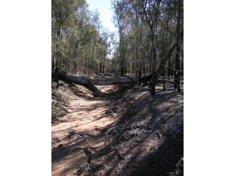 Lot 161 Rocky Crescent, Weranga QLD 4405