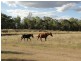 363 Auburn Road, Chinchilla QLD 4413