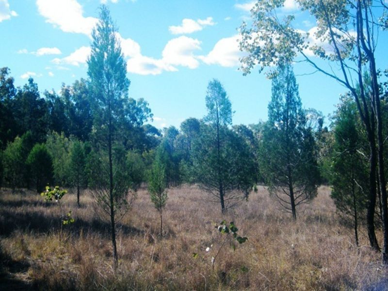 Lot 2 Banana Bridge Road, Kogan QLD 4406