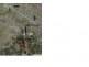Lot 2 Banana Bridge Road, Kogan QLD 4406